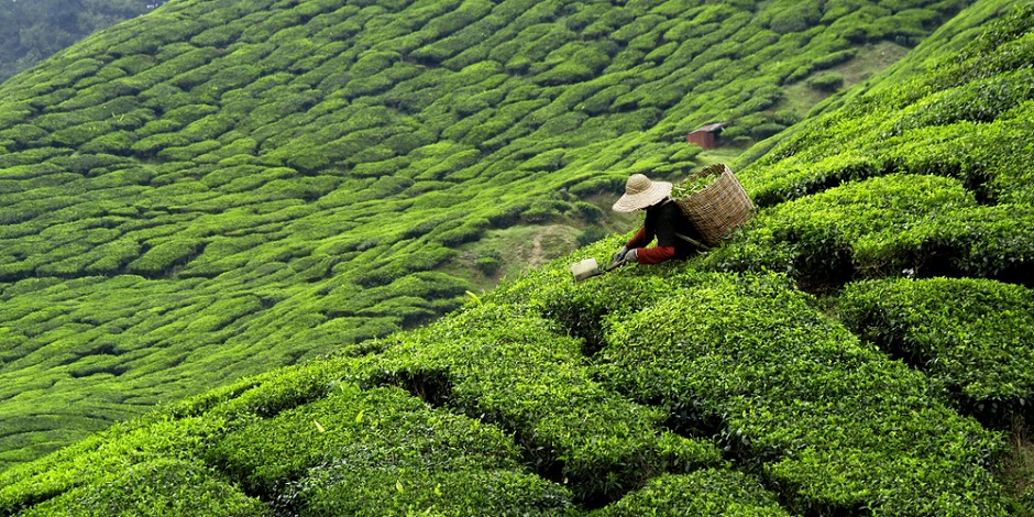 sri lanka